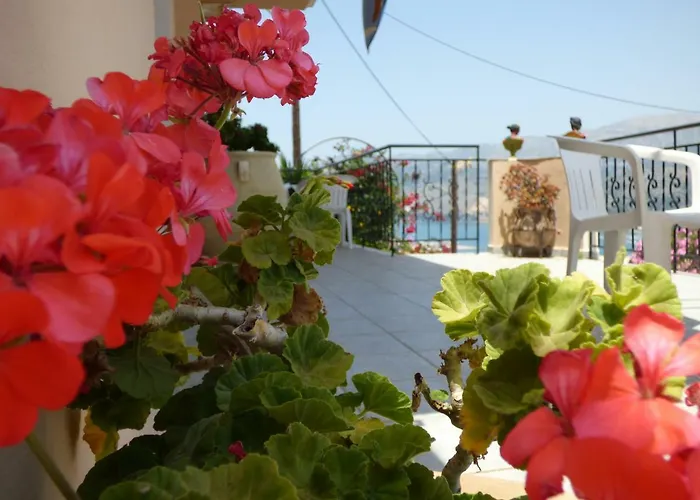 Anna Appartement Argostoli (Kefalonia)